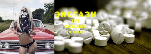 индика Богородск