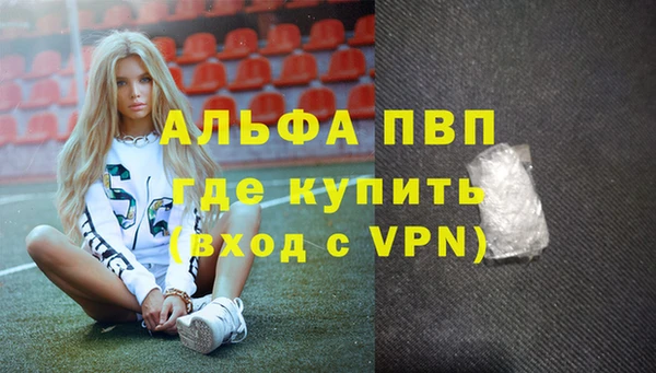 прущие грибы Саяногорск