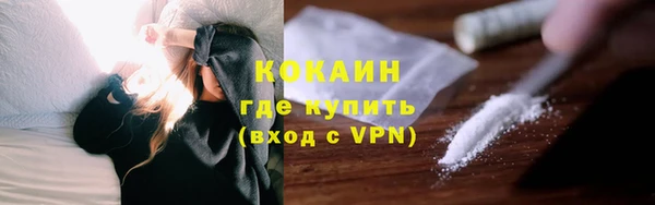 индика Богородск