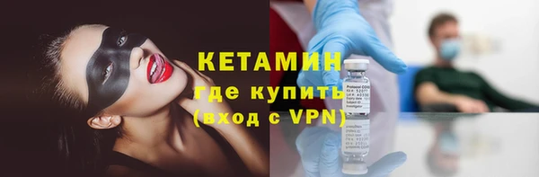 индика Богородск